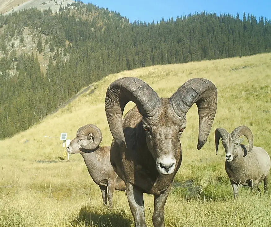 Rehabilitation and Reclamation 1 Okane Consultants mine closure rehabilitation reclamation