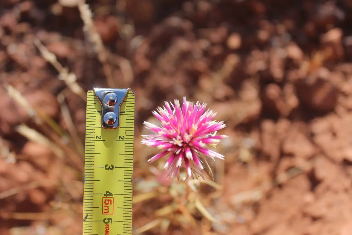 Rehabilitation and Reclamation 2 Okane Consultants mine closure rehabilitation reclamation