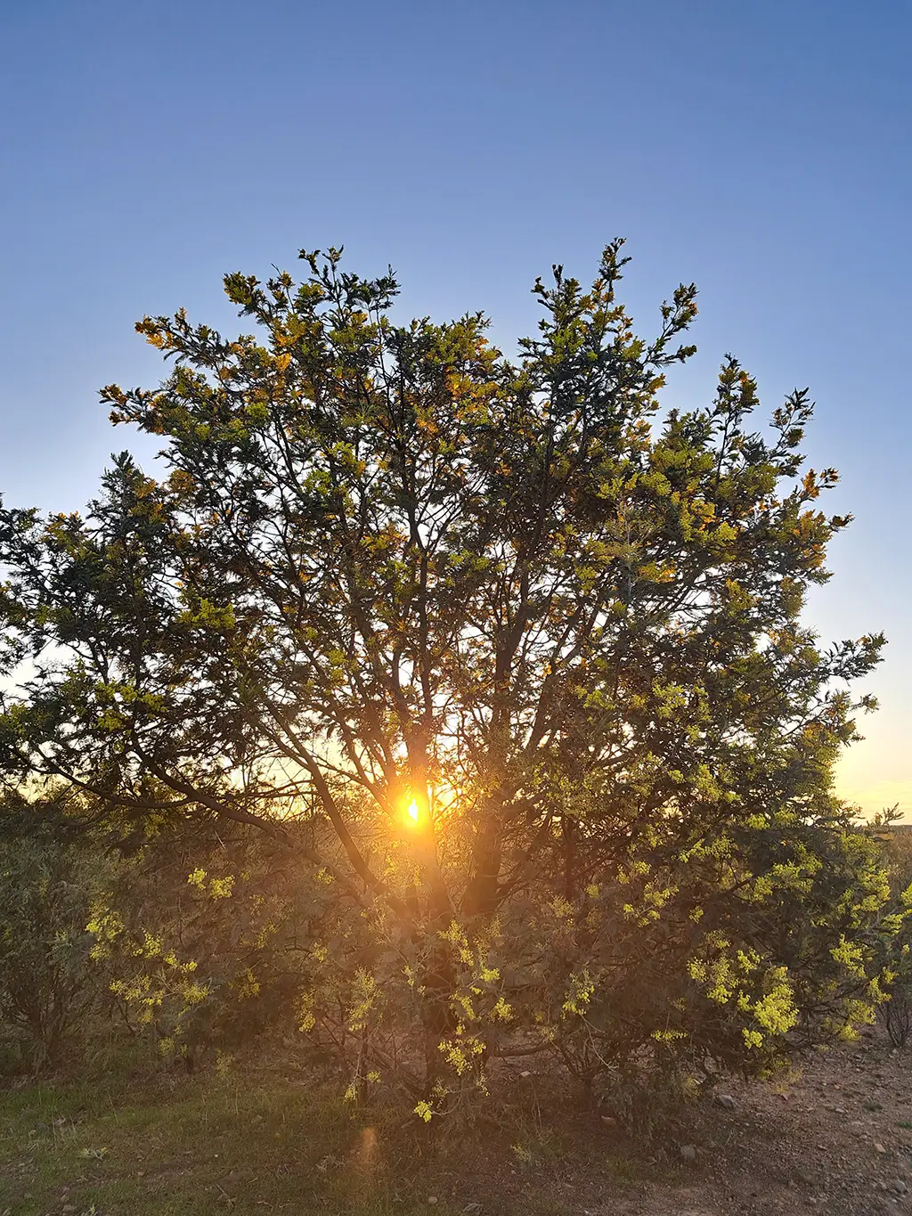 Closure Vision and Stakeholder Engagement 3 Okane Consultants mine closure stakeholder-engagement