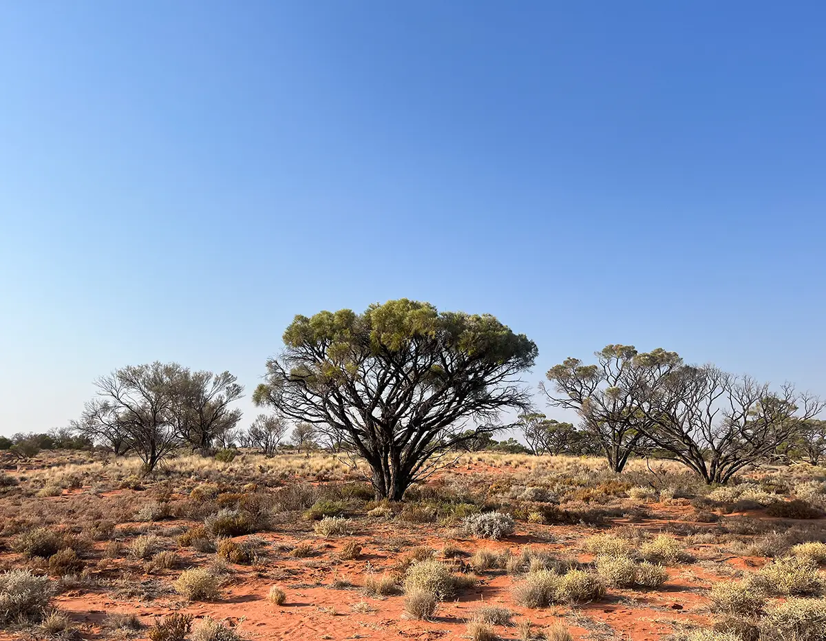 Home 5 Mine Planning and Closure Solutions Okane Consultants