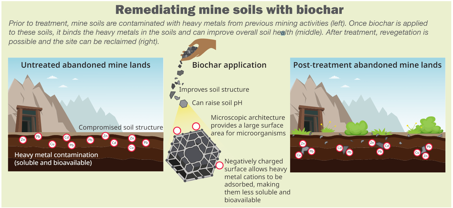 Soil Health and Soil Amendments for Mine Rehabilitation 2 biochar