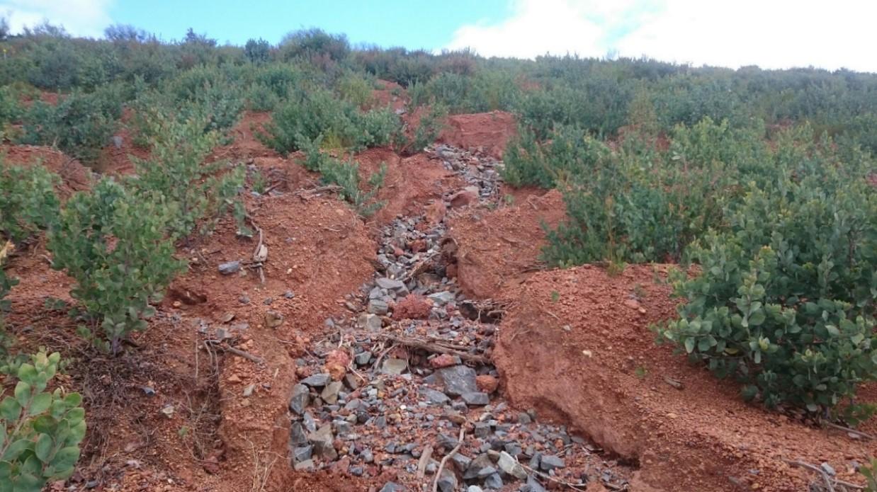 Designing Landscapes for the Future 1 Rill erosion of a cover system on a mined rock stockpile landform.