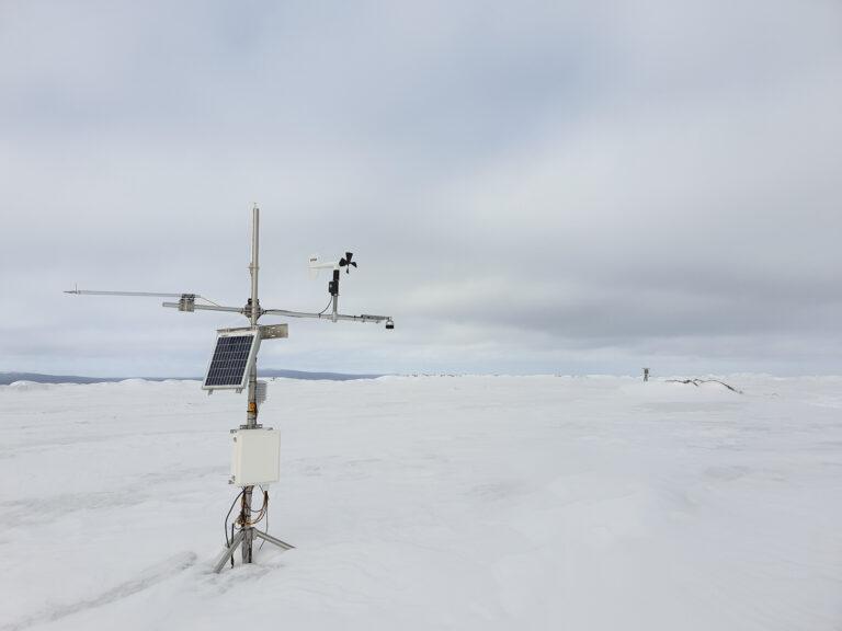 20200402 120211 resized lr 2